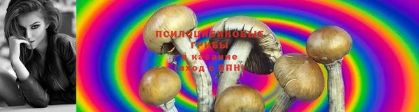 марки nbome Елизово