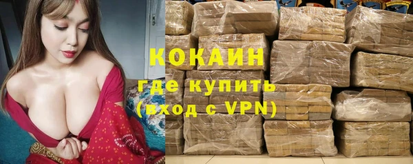 Альфа ПВП Ельня