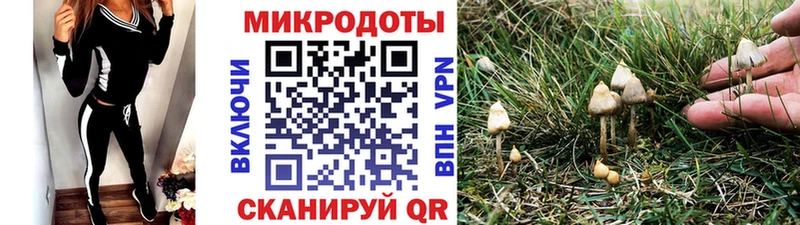 Псилоцибиновые грибы Psilocybine cubensis  Купить закладки  Карабулак 