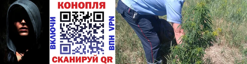Купить  Карабулак  Канабис марихуана 